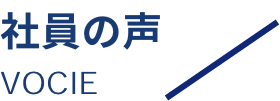 社員の声